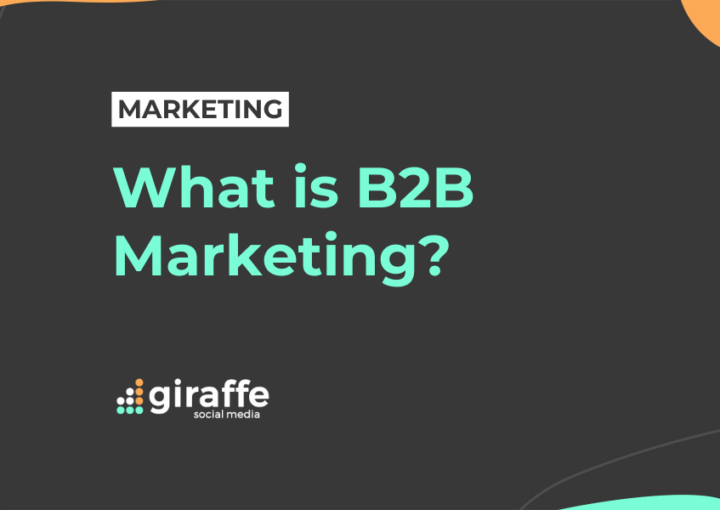 What is B2B Marketing