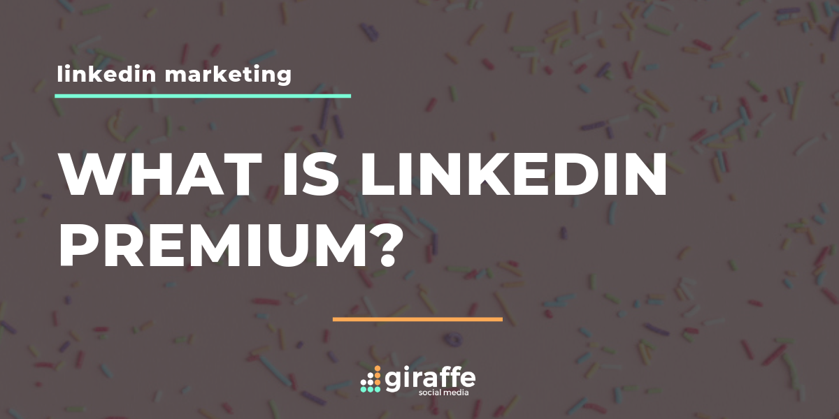 what-is-linkedin-premium-giraffe-social-media